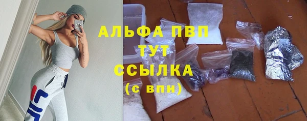 индика Армянск