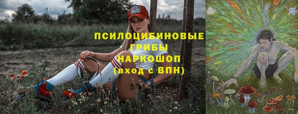 индика Армянск