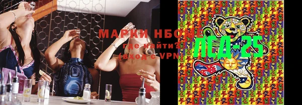индика Армянск