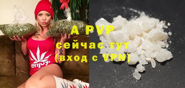 индика Армянск