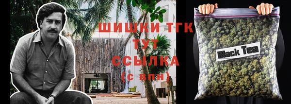 бошки Аркадак