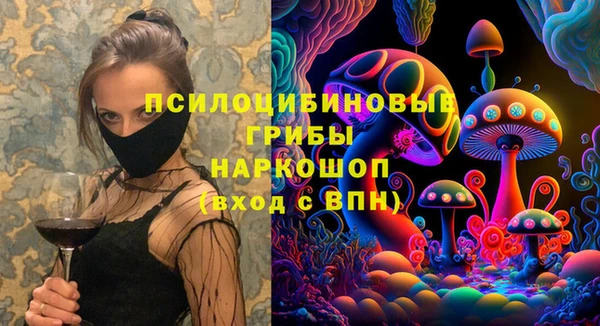 индика Армянск