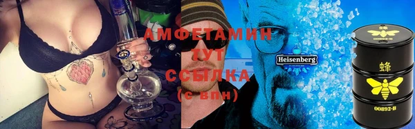 индика Армянск