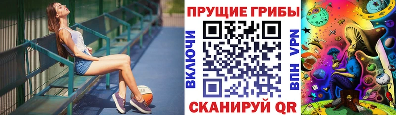 kraken как зайти  магазин  наркотиков  Волгоград  Псилоцибиновые грибы мицелий 