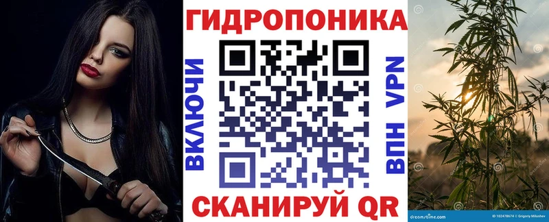 Шишки марихуана THC 21% Волгоград